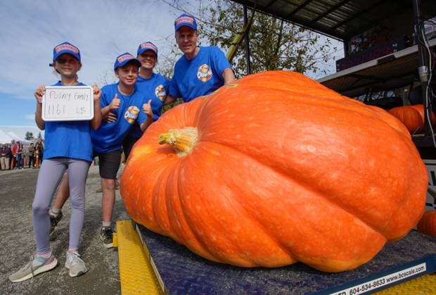 (241006) -- LANGLEY, Oct. 6, 2024 -- Mike Polay (R) poses for photos with his winning pumpkin weighing 1,161 pounds alongside family members during the 2024 Giant Pumpkin Weigh-Off competition in Langley, British Columbia, Canada, Oct. 5, 2024. The annual province-wide giant pumpkin weigh-off competition returned to Langley on Saturday, drawing dozens of growers to compete. (Photo by Liang Sen Xinhua) CANADA-LANGLEY-GIANT PUMPKIN WEIGH-OFF COMPETITION LinxWei 