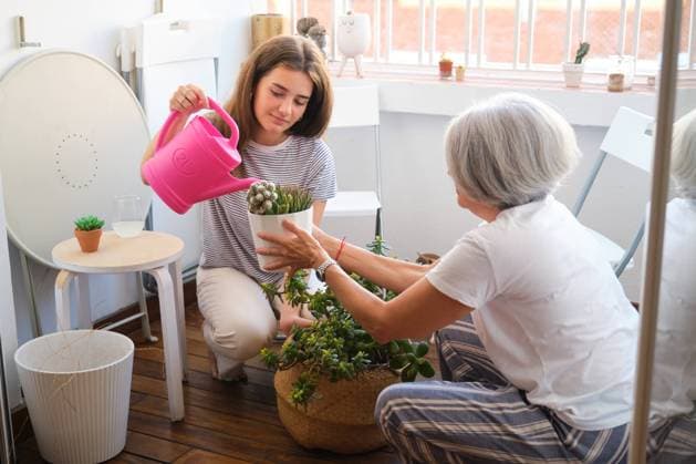 Creative Highlights Symbolfotos MR_ID24144_18552_IreneJimenezFernandezDeMoya.jpg, MR_ID24144_18551_PurificacionFernandezDeMoyaBarragan.jpg A scene showing a mother and her daughter taking care of house plants together in a bright interior space The daughter pours water from a pink watering can, under the guidance of her mother Model Released HaruUraraStudio_ID24144_699768_047 Copyright: xHaruxUraraxStudiox RECORD DATE NOT STATED