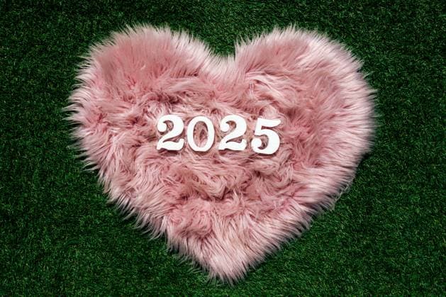 Pink furry heart-shaped decoration with white digits 2025 placed on a lush green grass background, symbolizing the welcoming of the New Year 2025. Model Released SergioVictorVega_ID24228_702402_016 Copyright: xSergioxVictorxVegax RECORD DATE NOT STATED