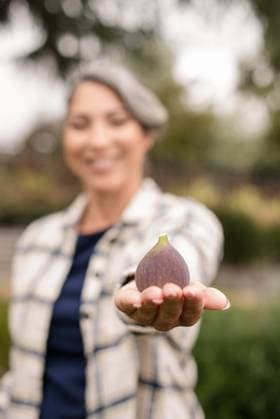 Woman holding out a purple fig with her hand Napa, California, United States R_HOOX241007-1551446-01 ,model released, Symbolfoto