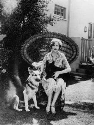 USA 1920s. Orig. caption... ONE OF AMERICA S MOST POPULAR SCREEN STARS. Anna Q. Nilsson, First National Player, is shown with her two pet dogs in the patio of her Beverly Hills, California, home. Rentz is a champion German Shepard, while the small bundle of black is Hobo, an Aberdeen Terrier. Note A Q Nilsson, 1888-1974, Swedish-American actor, one of the first big stars in silent films. Wicker chairs German Shepherd Friends Trio CD694 persons: ANNA QUIRENTA NILSSON sites: USA; SWEDEN* USA sp_sw x5600x *** USA 1920s Orig caption ONE OF AMERICA S MOST POPULAR SCREEN STARS Anna Q Nilsson, First National Player, is shown with her two pet dogs in the patio of her Beverly Hills, California, home Rentz is a champion German Shepard, while the sm  Copyright: xx ANNA Q NILSSON
