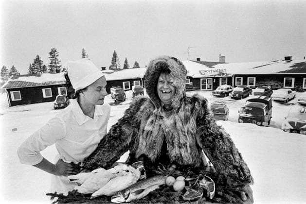 LAPLAND ARJEPLOW 1973 04 02 The restaurateur couple Harold and Gun Marie Tallfält in Arjeplog invest in the region s own resources grouse, char, reindeer cutlet in their restaurant Silverhatten Arjeplog Sweden x5600x  Copyright: xUlfxStrahle SVTx ARJEPLOG