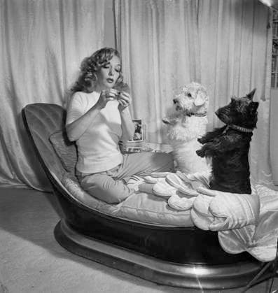ARCHIVES HOLLYWOOD 194412. Lupe VÃ lez, Mexican-American actress, with her dogs Chips and Chops at home in Hollywood. The photo is one of the last taken of the movie star before she committed suicide. Hollywood USA sp_sw x5600x *** ARCHIVES HOLLYWOOD 194412 Lupe Velez, Mexican American actress, with her dogs Chips and Chops at home in Hollywood The photo is one of the last taken of the movie star before she committed suicide Hollywood USA sp sw x5600x  Copyright: xSVTx LUPE VELEZ