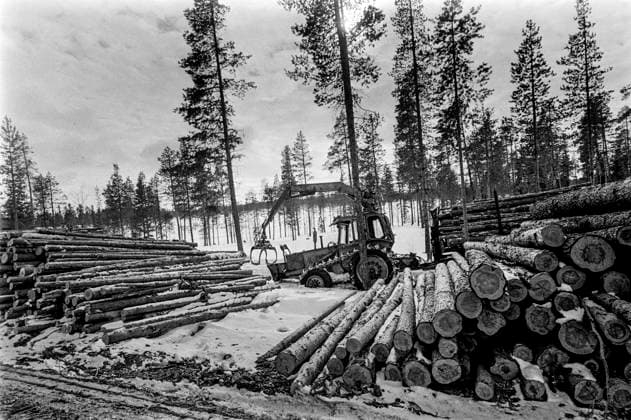 LAPLAND ARJEPLOW 1973 04 02 Forestry in Arjeplog Arjeplog Sweden x5600x  Copyright: xUlfxStrahle SVTx ARJEPLOG