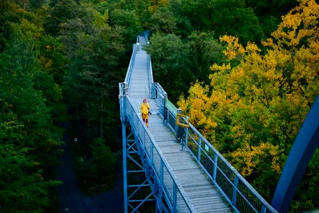 Baumwipfelpfad Bad Harzburg Blick am 11. Oktober 2024 auf dem Baumwipfelpfad Bad Harzburg im Harz. Bad Harzburg Niedersachsen Deutschland _JK19657 *** Treetop Walk Bad Harzburg View on October 11, 2024 on the Treetop Walk Bad Harzburg in the Harz Mountains Bad Harzburg Lower Saxony Germany JK19657