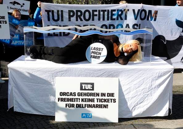 Sarah Connor lies down in a mini aquarium and protests with Peta activists in front of the Tui travel agency for the release of orca whales