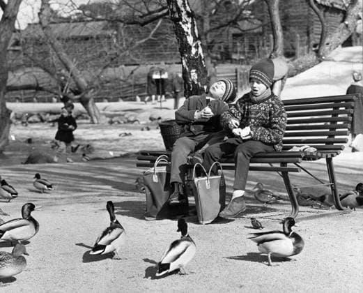 STOCKHOLM 1964-03-24 Besökare pa Skansen. Smörgasar smakar bäst när man far dela med sig till änderna. Allt enligt Tony Carlsson och Tommy Palmberg, som valt att tillbringa första dagen av lovet fran Hästhagens skola uppe pa Lill-Skansen STOCKHOLM SVERIGE x18x *** STOCKHOLM 1964 03 24 Visitors to Skansen Butter gases taste best when shared with the ducks According to Tony Carlsson and Tommy Palmberg, who chose to spend the first day of the holiday from Hästhagens school up at Lill Skansen STOCKHOLM SWEDEN x18x  Copyright: xJanxHolmlund Expressen TTx BESÖKARE SKANSEN