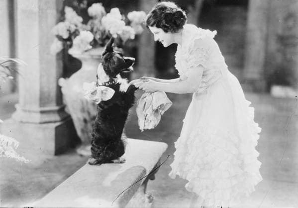 RECORD DATE NOT STATED May MacAvoy, between c1915 and c1920. Copyright:xHeritagexArt HeritagexImagesxBainxNewsxServicex IMAGO, ! ACHTUNG: AUFNAHMEDATUM GESCHÄTZT!  Copyright:HeritagexArt HeritagexImagesxBainxNewsxServicex IMAGO