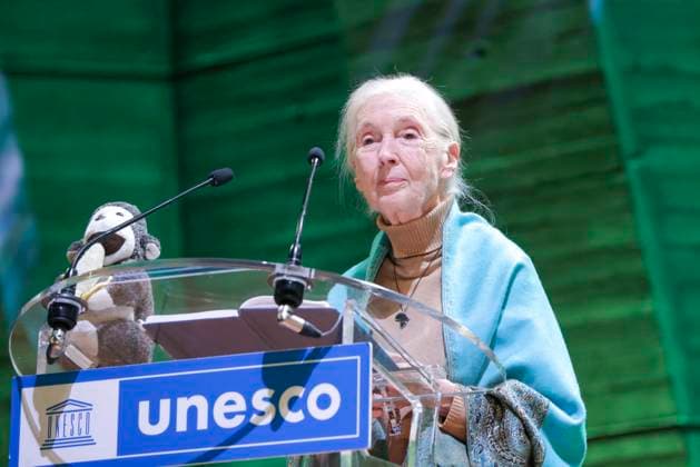 News Bilder des Tages Jane Goodall speaking at UNESCO headquarters in Paris Jane Goodall speaking at UNESCO headquarters in Paris, France, October 19, 2024 Jack Tribeca Bestimage Paris France  Copyright: xJackxTribecax xBestimagexJackxTribecax xBestimagex