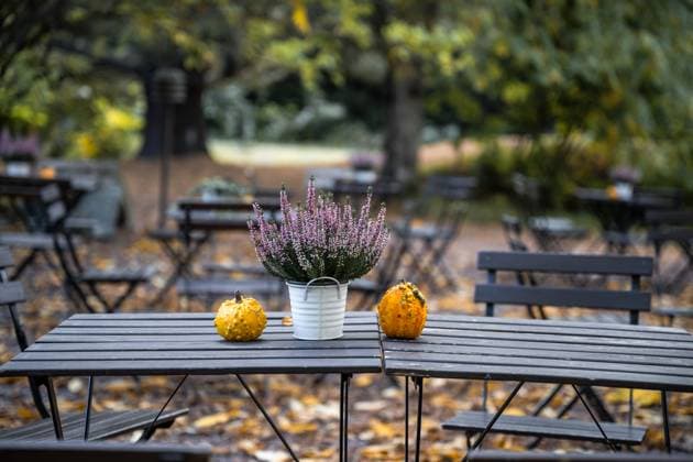 autumn bouquet and pumpkins on wooden table in garden Tuusula, Uusimaa, Finland R_PJJZ24101681-1558953-01