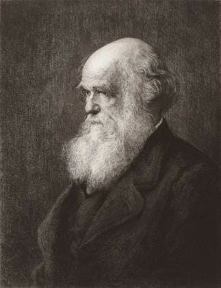 RECORD DATE NOT STATED Charles Robert Darwin. Charles Robert Darwin, 1809 - 1882. English naturalist and writer. From an engraving by Paul Adolphe Rajon, after Walter William Ouless. Copyright: KenxWelshx xDesignxPics 902_05_13259729HighRes