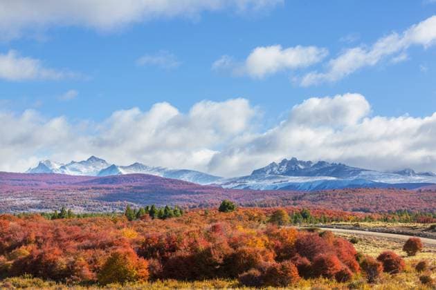 IMAGO Creative, Jahreszeit Herbst auf dem Land Autumn in Patagonia Autumn season in Patagonia mountains, South America, Argentina Copyright: xZoonar.com GalynaxAndrushkox 22122300