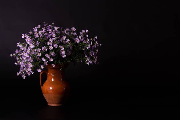 A bouquet of autumn blue asters in an old clay jug, an atmospher Mykolaiv, Mykolaiv Oblast, Ukraine R_IQPO241021-1568322-01