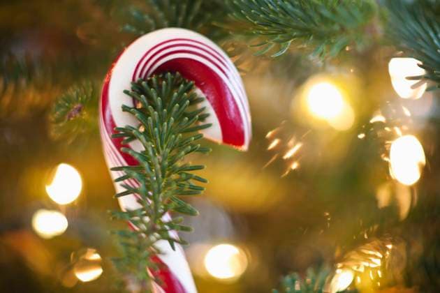 Close-up of candy cane hanging on christmas tree, studio shot , 03.03.2011, TTBB_ti0146218.jpg, Candy Cane, Christmas Tree, Candy, Horizontal, Studio Shot, No People, Hanging, Sweet Food, Illuminated, Christmas, Celebration, Single Object, Christmas Decoration, Food And Drink Copyright: xTetraxImagesx