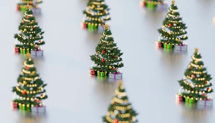 Pine trees with Christmas gift boxes, SOBF00968