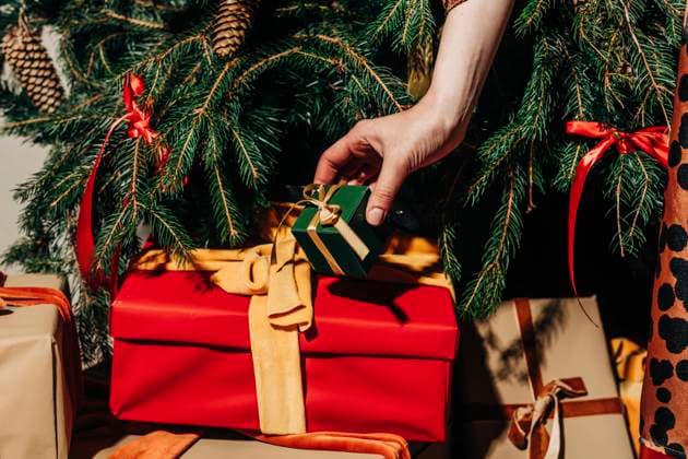 Hand of woman holding gift box near Christmas tree model released, Symbolfoto, VSNF02539