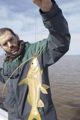 Creative Highlights Symbolfotos Fischer beim Angeln von gelbem Wels im Rio de la Plata in Argentinien Fisherman fishing yellow catfish at Rio de la Plata River in Argentina Copyright: imageBROKER pabloxborca ibxiqx11595939.jpg ,model released, Symbolfoto ,property released