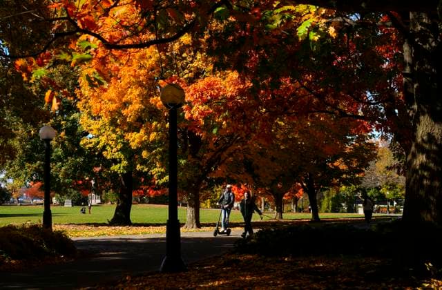 October 24, 2024, Ottawa, On, CAN: People make their way through Major s Hill Park amongst the fall coloured leafs in Ottawa on Thursday, Oct. 24, 2024. Ottawa CAN  - ZUMAc35_ 20241024_zaf_c35_075 Copyright: xSeanxKilpatrickx