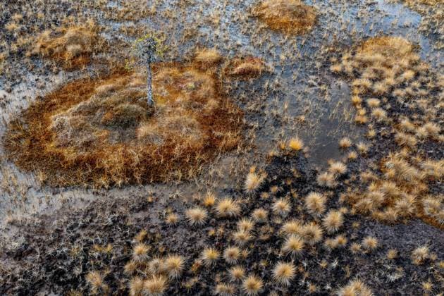 Drohnenaufnahme, Luftaufnahme, Detailaufnahme, Feuchtgebiet, Moor im Herbst, Lappland, Finnland, Europa Drone image, aerial view, close-up, wetland, bog in autumn, Lapland, Finland, Europe Copyright: imageBROKER SonjaxJordan ibxjor11635849.jpg