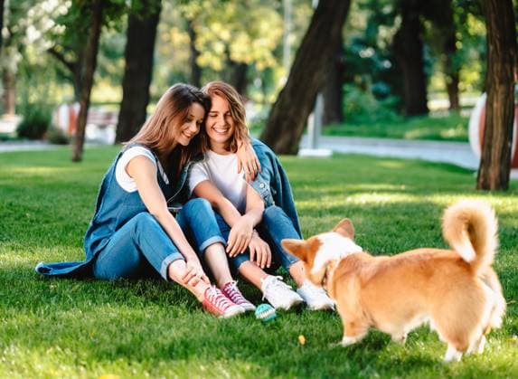 Two female friend in the park play with little dog Two female friend in the park at lawn play with little dog ,model released, Symbolfoto Copyright: xZoonar.com OleksiixHrecheniukx 13672108 ,model released, Symbolfoto ,property released