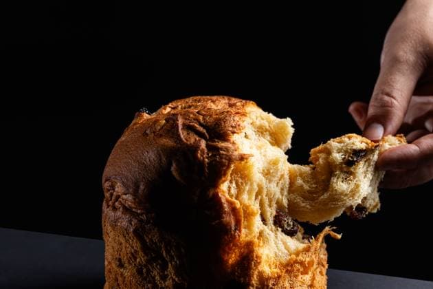 Close-up shot of a cropped unrecognizable hand tearing off a fluffy, fruit-filled piece of Panettone, a popular Italian Christmas sweet bread, highlighted against a dark backdrop. Model Released AlexSalcedo_ID24525_711121_030 Copyright: xAlexxSalcedox RECORD DATE NOT STATED