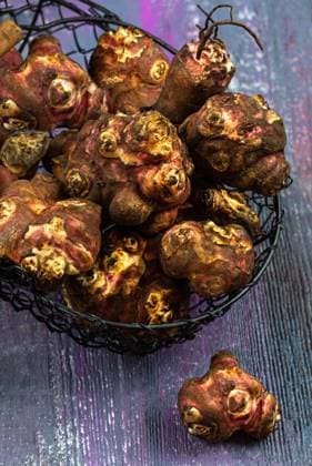 Freshly harvested Jerusalem artichokes - top view in a gardener s basket. Jerusalem artichoke, root vegetable (Helianthus tuberosus) 016357_041