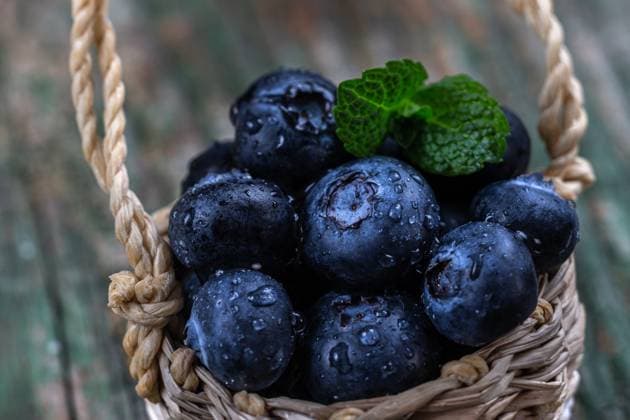Blueberry berries (Vaccinium myrtillus) in macro in a small basket. Blueberries 016386_010