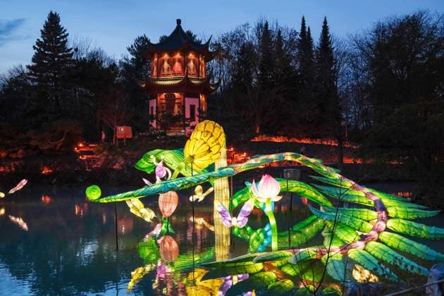 October 30, 2024, Montreal, Quebec, Canada: The Gardens of Light at the Montreal Botanical Garden has begun. In what has become a seasonal tradition, the Gardens of Light pathway offers a spectacular immersive stroll through illuminated First Nations, Chinese and Japanese gardens. Montreal Canada - ZUMAs278 20241030_zip_s278_003 Copyright: xSerkanxSenturkx