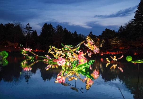 October 30, 2024, Montreal, Quebec, Canada: The Gardens of Light at the Montreal Botanical Garden has begun. In what has become a seasonal tradition, the Gardens of Light pathway offers a spectacular immersive stroll through illuminated First Nations, Chinese and Japanese gardens. Montreal Canada - ZUMAs278 20241030_zip_s278_002 Copyright: xSerkanxSenturkx