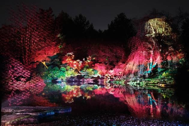 October 30, 2024, Montreal, Quebec, Canada: The Gardens of Light at the Montreal Botanical Garden has begun. In what has become a seasonal tradition, the Gardens of Light pathway offers a spectacular immersive stroll through illuminated First Nations, Chinese and Japanese gardens. Montreal Canada - ZUMAs278 20241030_zip_s278_006 Copyright: xSerkanxSenturkx