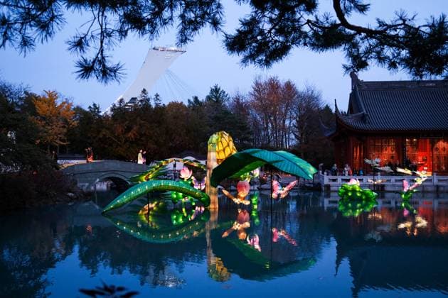 October 30, 2024, Montreal, Quebec, Canada: The Gardens of Light at the Montreal Botanical Garden has begun. In what has become a seasonal tradition, the Gardens of Light pathway offers a spectacular immersive stroll through illuminated First Nations, Chinese and Japanese gardens. Montreal Canada - ZUMAs278 20241030_zip_s278_008 Copyright: xSerkanxSenturkx