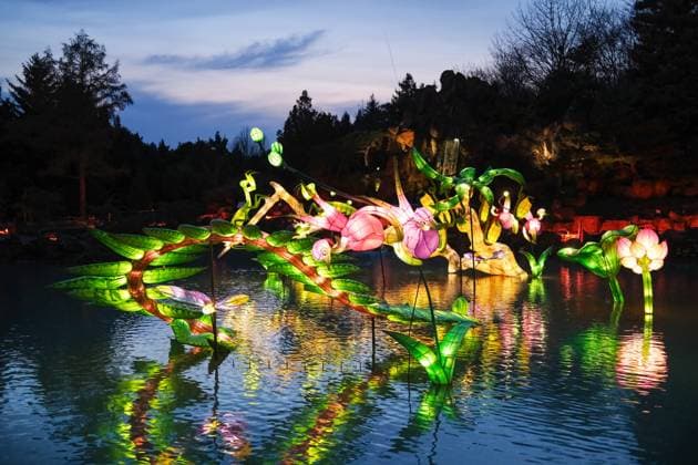 October 30, 2024, Montreal, Quebec, Canada: The Gardens of Light at the Montreal Botanical Garden has begun. In what has become a seasonal tradition, the Gardens of Light pathway offers a spectacular immersive stroll through illuminated First Nations, Chinese and Japanese gardens. Montreal Canada - ZUMAs278 20241030_zip_s278_001 Copyright: xSerkanxSenturkx