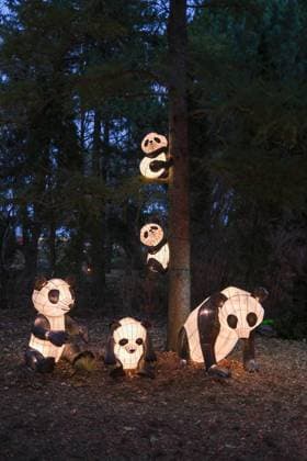 October 30, 2024, Montreal, Quebec, Canada: The Gardens of Light at the Montreal Botanical Garden has begun. In what has become a seasonal tradition, the Gardens of Light pathway offers a spectacular immersive stroll through illuminated First Nations, Chinese and Japanese gardens. Montreal Canada - ZUMAs278 20241030_zip_s278_015 Copyright: xSerkanxSenturkx
