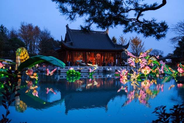 News Bilder des Tages October 30, 2024, Montreal, Quebec, Canada: The Gardens of Light at the Montreal Botanical Garden has begun. In what has become a seasonal tradition, the Gardens of Light pathway offers a spectacular immersive stroll through illuminated First Nations, Chinese and Japanese gardens. Montreal Canada - ZUMAs278 20241030_zip_s278_017 Copyright: xSerkanxSenturkx