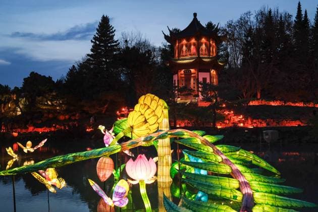 October 30, 2024, Montreal, Quebec, Canada: The Gardens of Light at the Montreal Botanical Garden has begun. In what has become a seasonal tradition, the Gardens of Light pathway offers a spectacular immersive stroll through illuminated First Nations, Chinese and Japanese gardens. Montreal Canada - ZUMAs278 20241030_zip_s278_020 Copyright: xSerkanxSenturkx