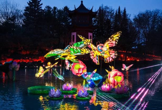 October 30, 2024, Montreal, Quebec, Canada: The Gardens of Light at the Montreal Botanical Garden has begun. In what has become a seasonal tradition, the Gardens of Light pathway offers a spectacular immersive stroll through illuminated First Nations, Chinese and Japanese gardens. Montreal Canada - ZUMAs278 20241030_zip_s278_022 Copyright: xSerkanxSenturkx