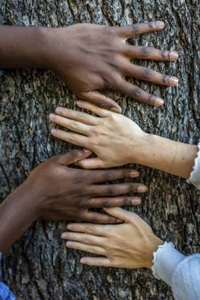 Vertikal Frontale Nahaufnahme von anonymen Händen eines gemischtrassigen Paares an einem Baum Vertical Close-up frontal view of anonymous hands of mixed-raced couple on a tree Copyright: imageBROKER UnaixHuizi ibxuhu11646085.jpg ,model released, Symbolfoto ,property released