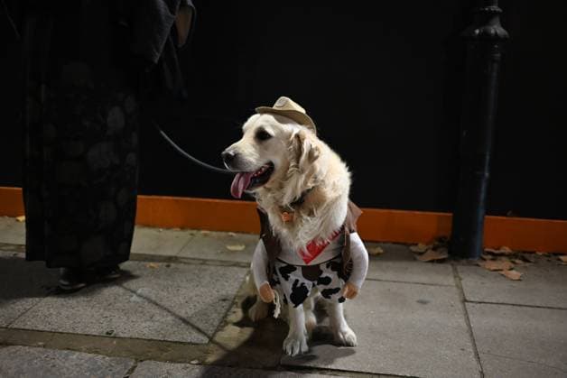 Entertainment Themen der Woche KW44 Entertainment Bilder des Tages News Bilder des Tages Halloween night in London Trick-or-treat in London typically starts after sunset on October 31st and the houses taking part are wonderfully decorated. London United Kingdom Copyright: LauraxChiesa