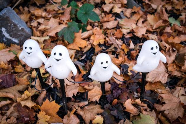 News Bilder des Tages October 31, 2024, Montreal, Quebec, Canada: Halloween day general views of the streets of Montreal. Montreal Canada - ZUMAs278 20241031_zip_s278_007 Copyright: xSerkanxSenturkx