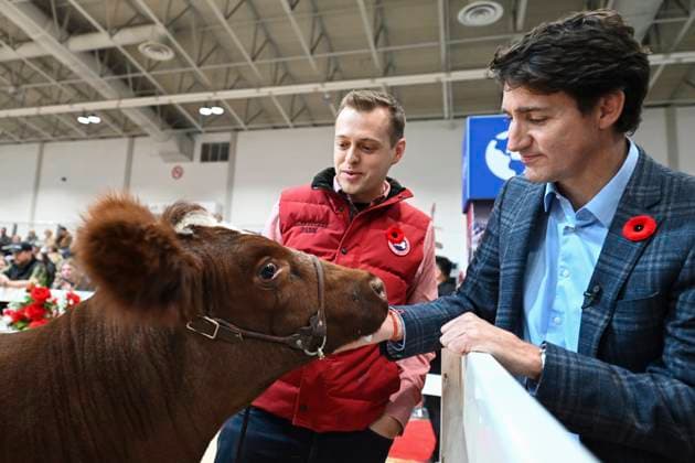 November 1, 2024, Toronto, On, Canada: Prime Minister Justin Trudeau alongside other dignitaries are given a tour of the Royal Agricultural Winter Fair, in Toronto, Friday, Nov. 1, 2024. Toronto Canada  - ZUMAc35_ 20241101_zaf_c35_052 Copyright: xChristopherxKatsarovx