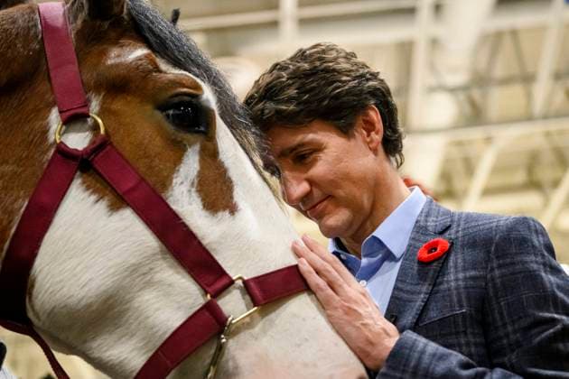News Themen der Woche KW44 News Bilder des Tages November 1, 2024, Toronto, On, Canada: Prime Minister Justin Trudeau alongside other dignitaries greet a horse while on tour of the Royal Agricultural Winter Fair, in Toronto, Friday, Nov. 1, 2024. Toronto Canada  - ZUMAc35_ 20241101_zaf_c35_048 Copyright: xChristopherxKatsarovx