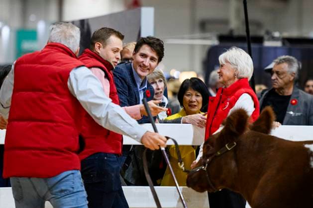 November 1, 2024, Toronto, On, Canada: Toronto Mayor Olivia Chow, centre right, joins Prime Minister Justin Trudeau alongside other dignitaries during a tour of the Royal Agricultural Winter Fair, in Toronto, Friday, Nov. 1, 2024. Toronto Canada - ZUMAc35_ 20241101_zaf_c35_063 Copyright: xChristopherxKatsarovx