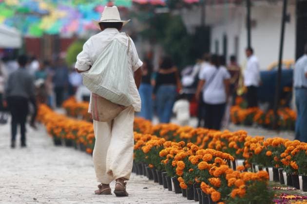 People attending Guadalupe Shrine Cemetery located in the northeastern of the state of Puebla to celebrate Mexican Dia de Muertos. on November 1, 2024 in Cuetzalan, Mexico. Cuetzalan Mexico - ZUMAe321 20241101_zia_e321_049 Copyright: xCarlosxSantiagox