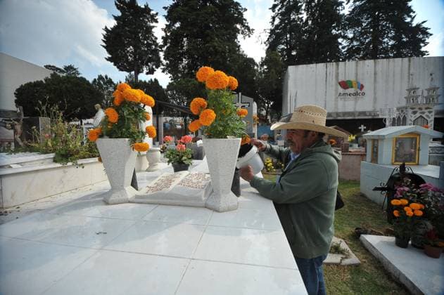 Dia de Muertos Celebrations - Mexico A person decorates the graves of his loved ones with cempasuchil flowers and hold a vigil at the Municipal Cemetery of Amealco de Bonfil. As part of the Mexican traditions of the Day of the Dead, people visit the tombs of their deceased to spend time with them, according to the beliefs the souls of the deceased return home to spend time with their relatives and nourish themselves with the food that is offered to them. Amealco de Bonfil, Mexico, November 1, 2024. Photo by Fernando Camacho Eyepix Group ABACAPRESS.COM Amealco de Bonfil Queretaro Mexico  Copyright: xEyepix ABACAx
