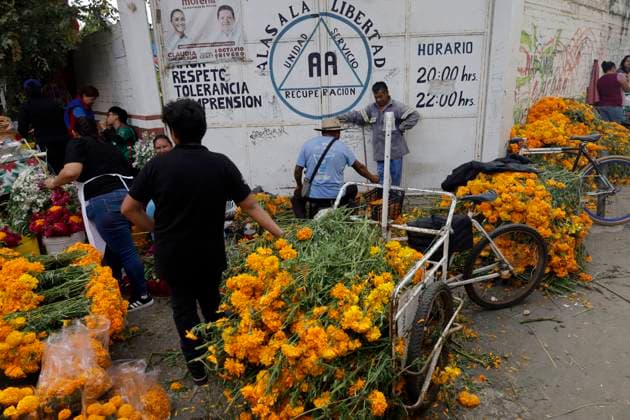 Day Of The Dead In Mexico The view is outside the Tecomitl community pantheon located on the southern edge of Mexico City, Mexico, on November 2, 2024, where dozens of people come to decorate the graves of their deceased loved ones with cempasuchil flowers and figures made from mud that, according to belief, receive their souls during the Day of the Dead festivities. Mexico City Mexico  Copyright: xGerardoxVieyrax originalFilename: vieyra-notitle241102_npell.jpg