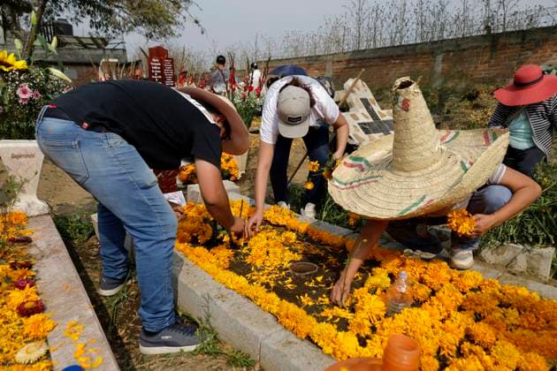 Day Of The Dead In Mexico People attend the Tecomitl community pantheon in Mexico City, Mexico, on November 2, 2024, and decorate the graves of their deceased loved ones with cempasuchil flowers and figures made from mud. According to belief, these will receive their souls during the Day of the Dead festivities on November 2. Mexico City Mexico  Copyright: xGerardoxVieyrax originalFilename: vieyra-notitle241102_npq13.jpg