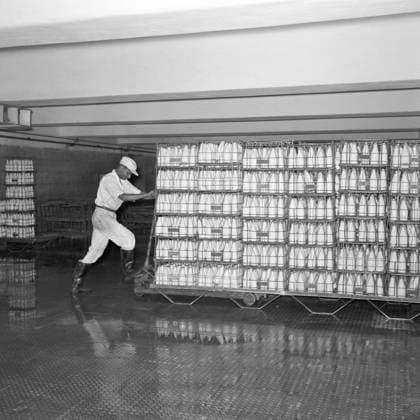 Milk bottles getting ready for dispatch ; milk plant ; Aarey ; Bombay now Mumbai ; Maharashtra ; India Copyright: xTxSatyan DinodiaxPhotox