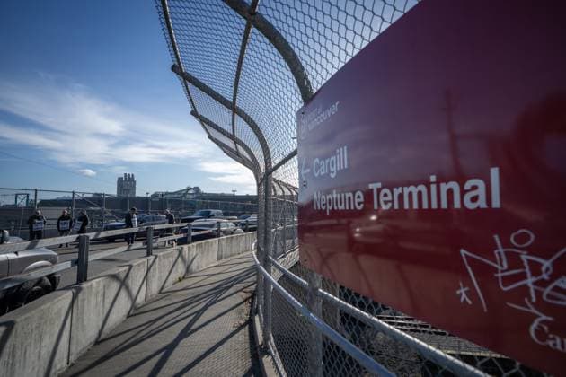 November 5, 2024, Vancouver, Bc, CANADA: Workers picket at Neptune Terminal during an International Longshore and Warehouse Union labour dispute in North Vancouver, on Tuesday, November 5, 2024. Vancouver CANADA  - ZUMAc35_ 20241105_zaf_c35_059 Copyright: xEthanxCairnsx