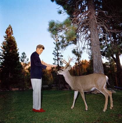 Archivbilder der Woche KW45 U.S. President John F. Kennedy feeding a deer, Lassen Volcanic National Park, California, USA, Cecil Stoughton, White House Photographs, September 27, 1963  Copyright: xCircaxImagesx ghi-circa13124