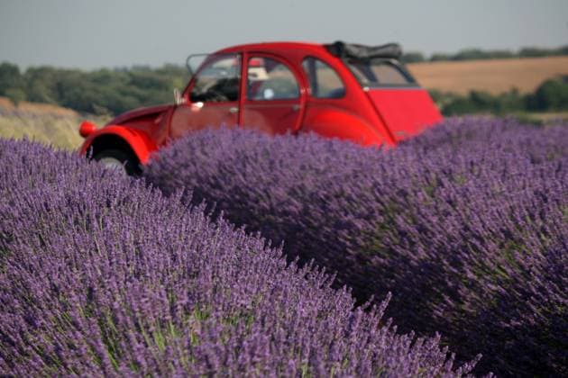 2 CV, Plateau Valensole, Frankreich 2 CV, Plateau Valensole, Frankreich - 2 CV, Plateau Valensole, France Copyright: xZoonar.com ElmarxPogrzebax 13236997